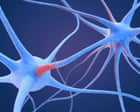 Scientists identify ‘neural fingerprint’ of psychedelic drugs in the brain