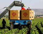 Cyclospora: iceberg lettuce recalled in 27 states and more products may follow